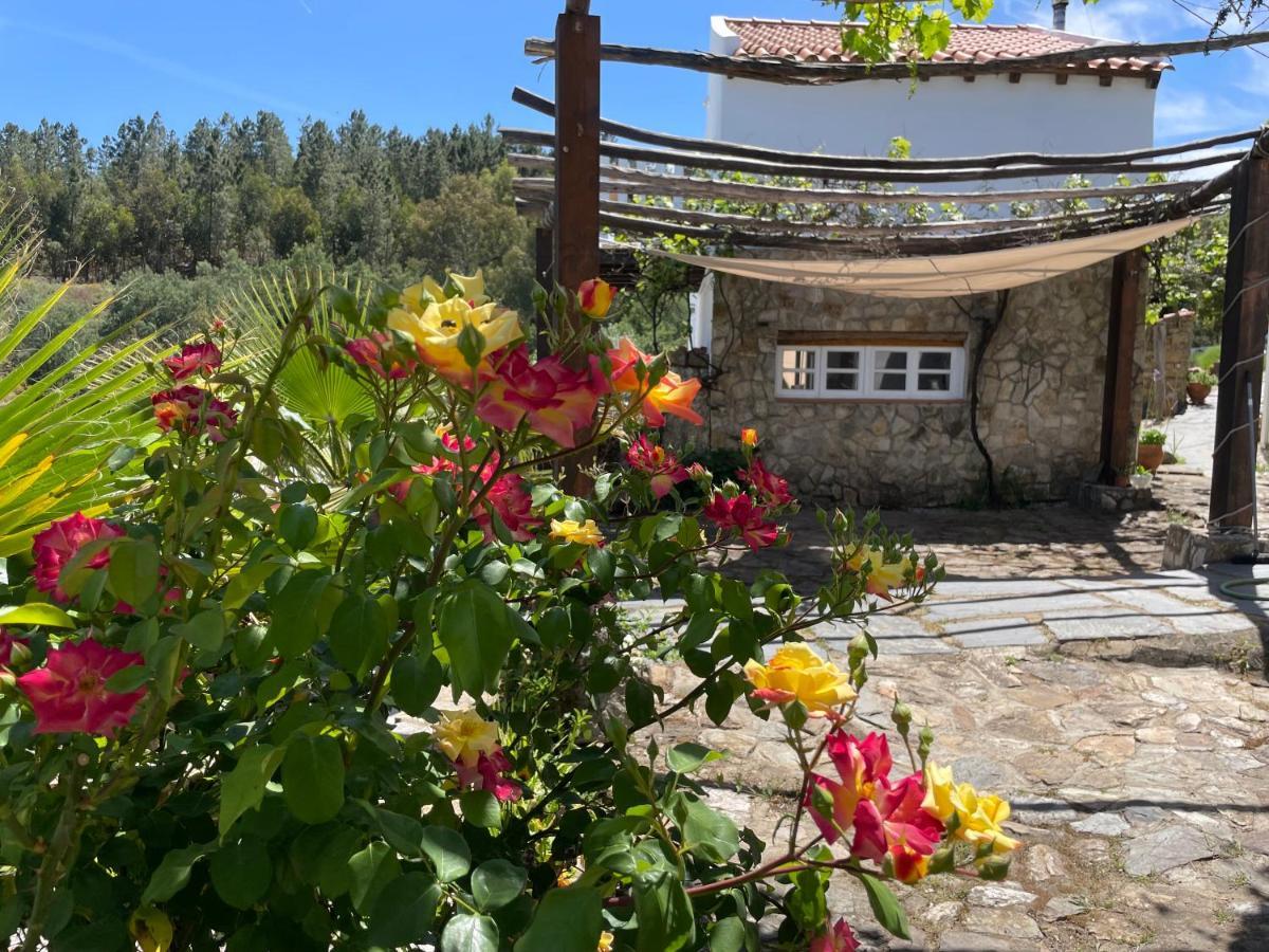 Casa Pollard Chalet